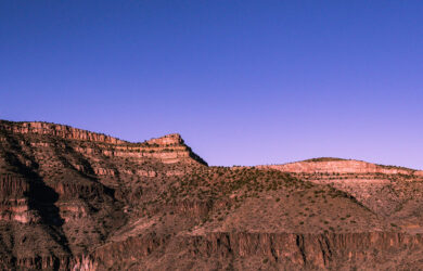 Arizona dessert landscape