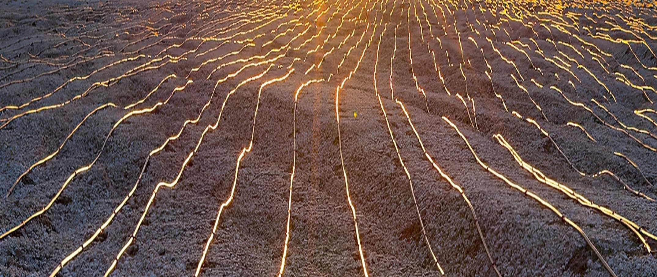 All about copper leaching